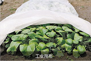 綜合管廊
